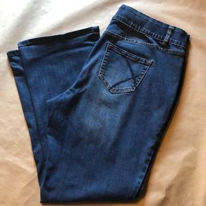Lane Bryant boot cut jeans